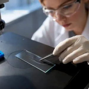 Adderall Hair Test: What Labs and SoHT Guidelines Mean for Your Result